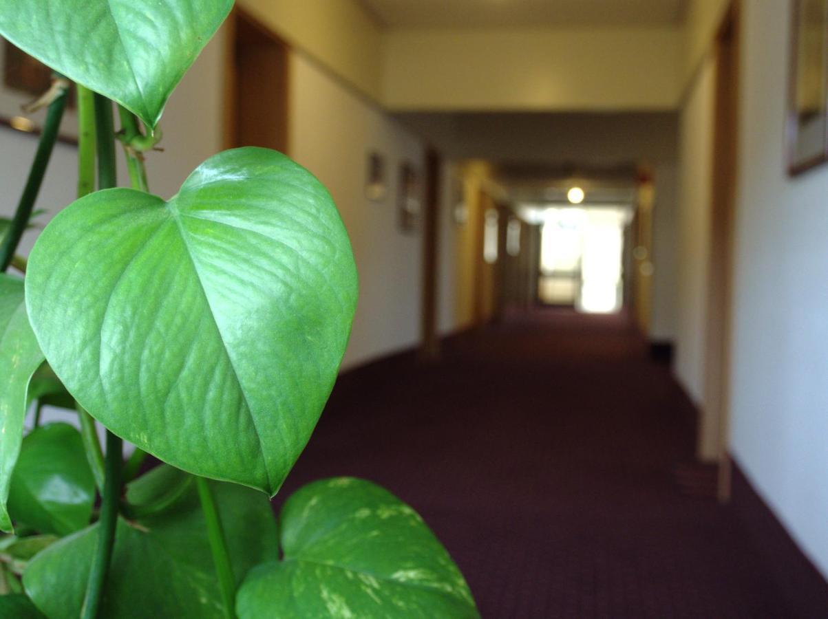 Hotel Im Park บาด อิบวร์ก ภายนอก รูปภาพ